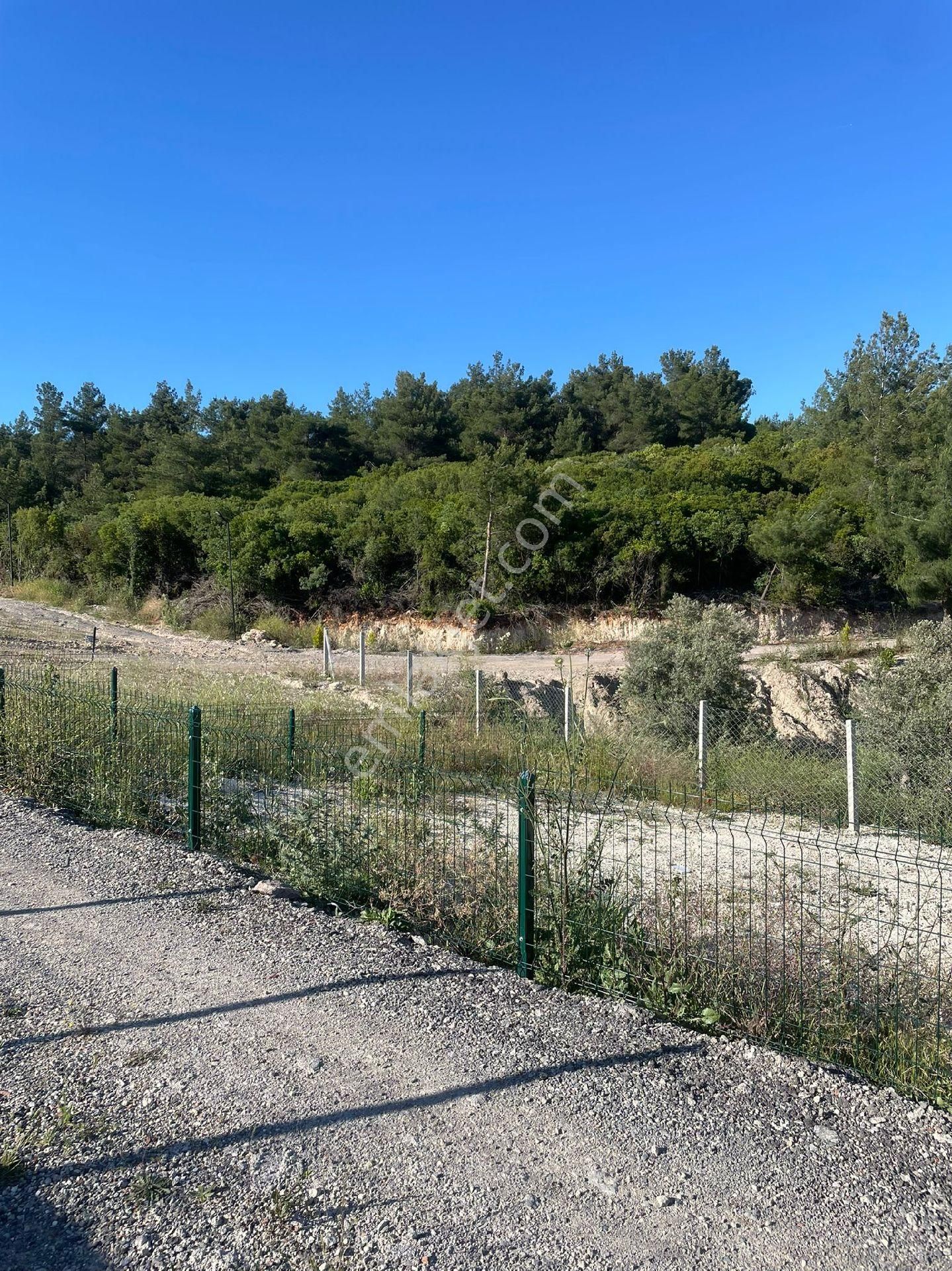 Kelepir 250 Mk İzmir Buca Karacaağaç Koop Hisse Tarla... Satılık - Görsel 9