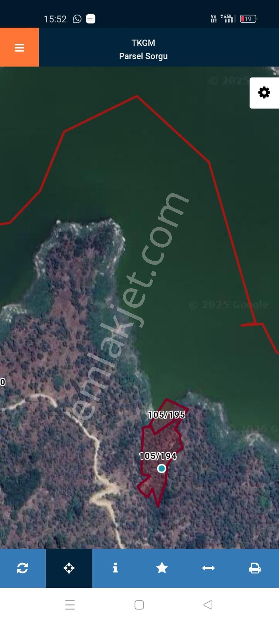 Aydın Karpuzlu Cumalar'da 3 Dönüm Zeytinlik - Görsel 3