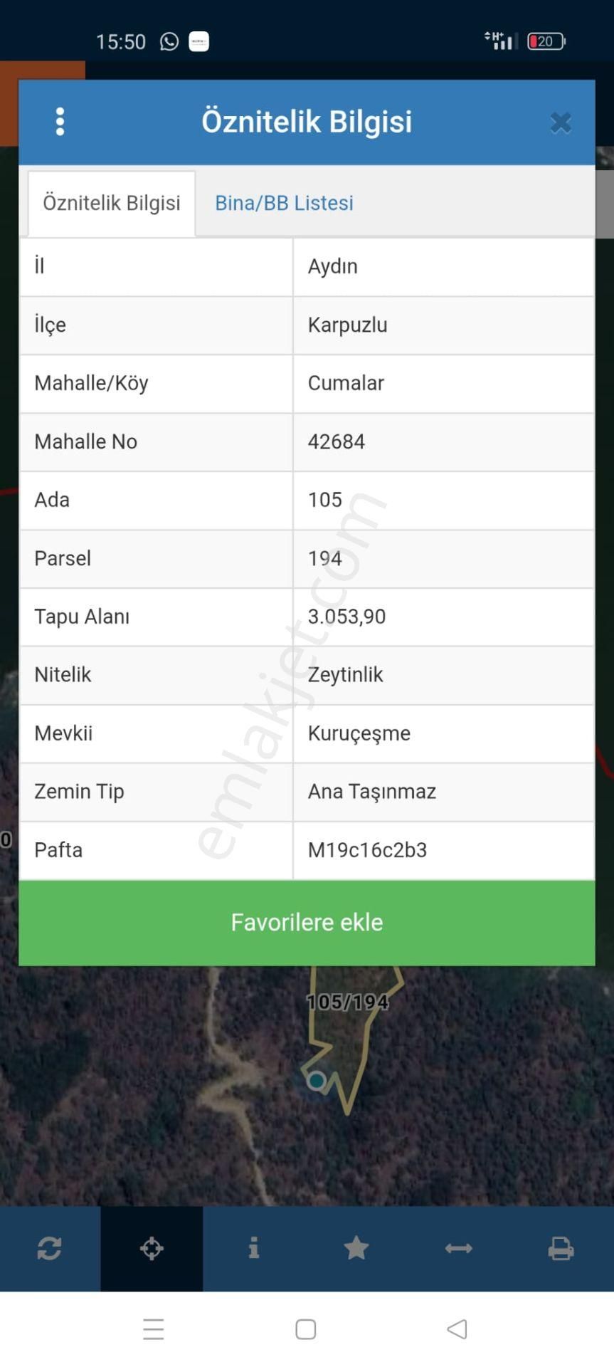 Aydın Karpuzlu Cumalar'da 3 Dönüm Zeytinlik - Görsel 4
