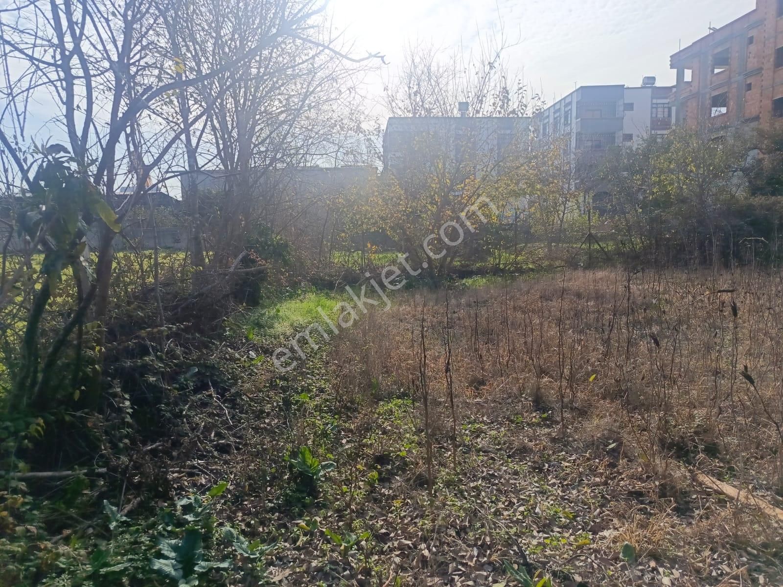 Adana Seyhan Mıdık Ta Satılık 1000m2 Arsa - Görsel 16