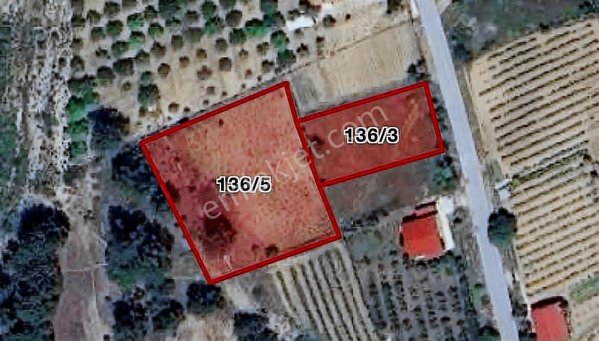 Antalya Akseki'de 3118m2 Satılık Tek Tapu Arazi - Görsel 6