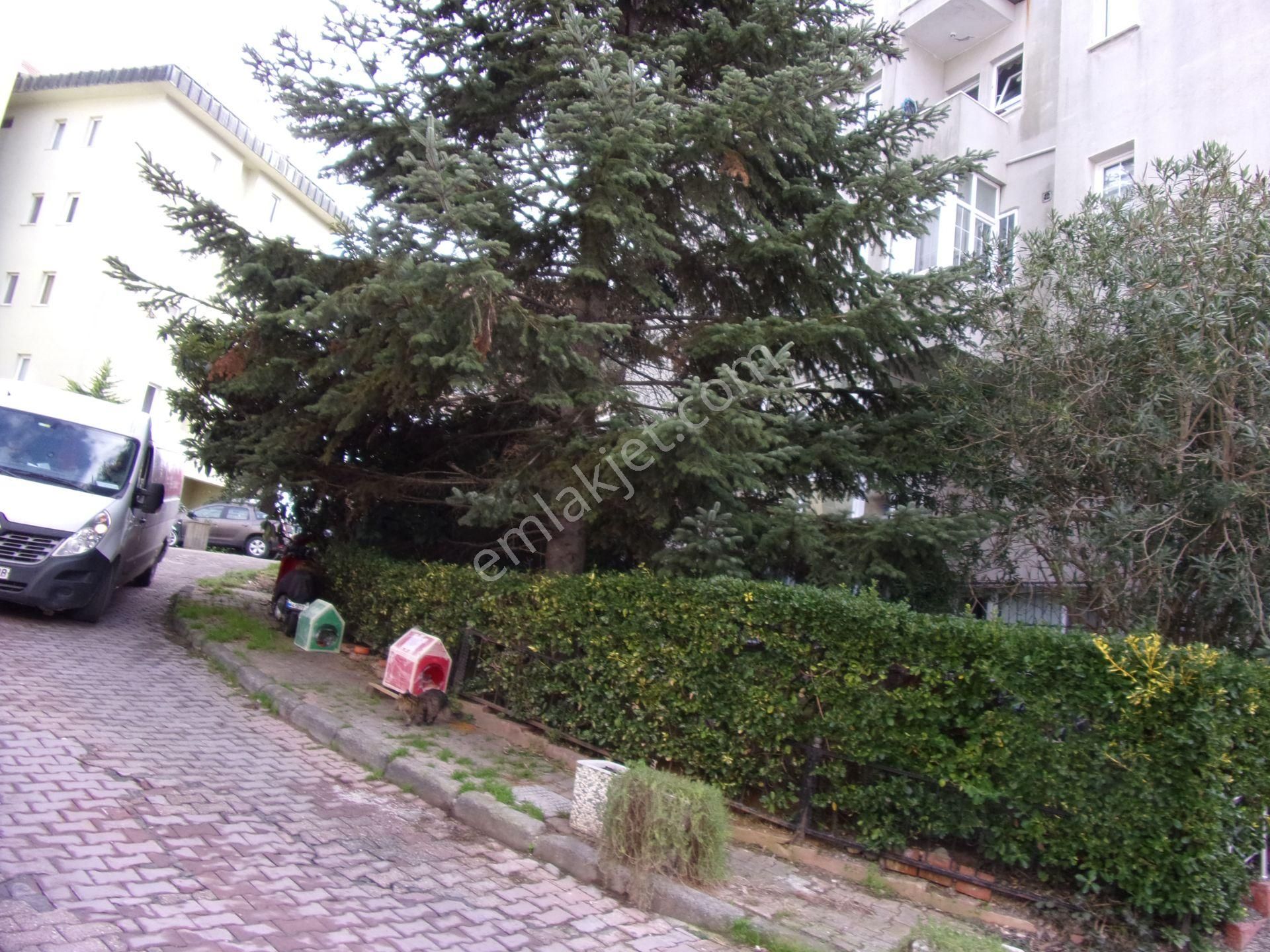 Tarabya Sitede 1+1 70 Metrekare Eşyalı Kiralık Daire - Görsel 28