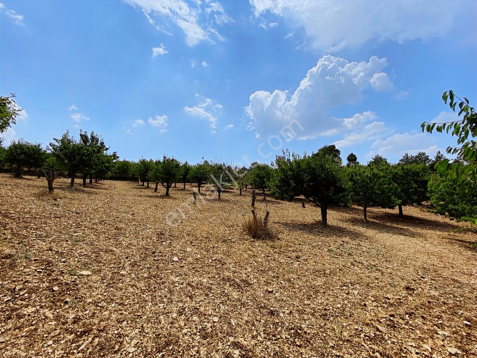 Keles Kıranışıklar ' Da 21.370 M². Satılık Meyve Bahçesi & Arazi - Görsel 30