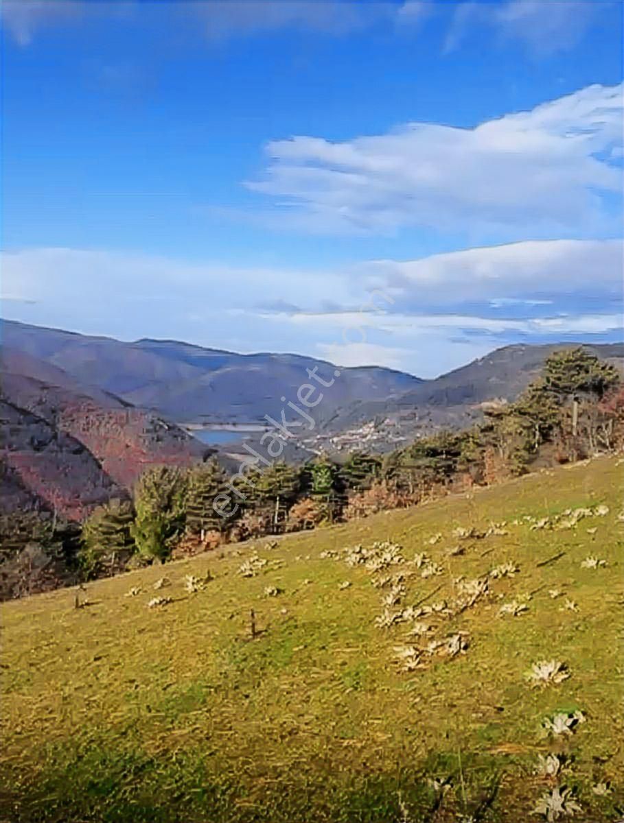 Osmangazi Mürseller De Satılık Tarla - Görsel 5