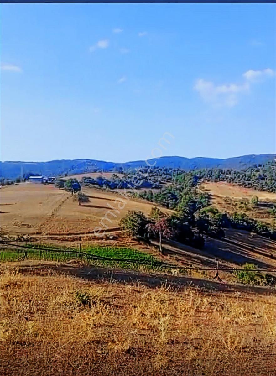 Osmangazi Mürseller De Satılık Tarla - Görsel 11