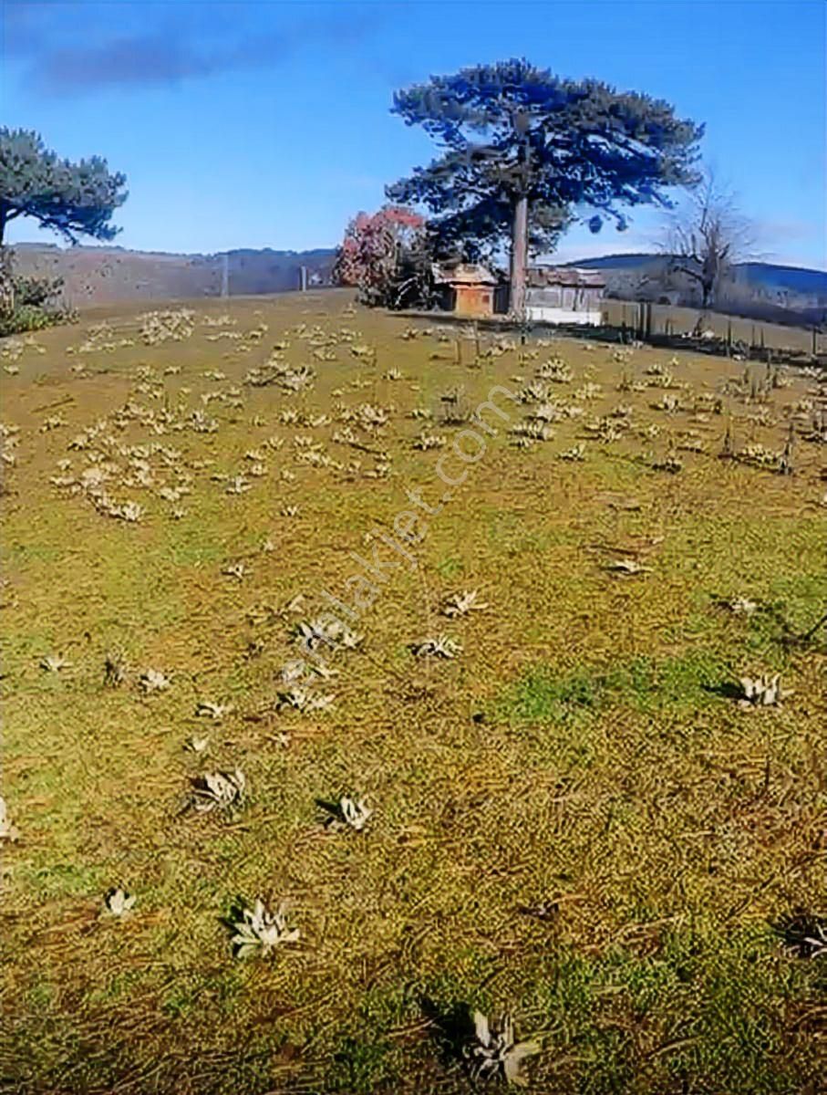 Osmangazi Mürseller De Satılık Tarla - Görsel 6