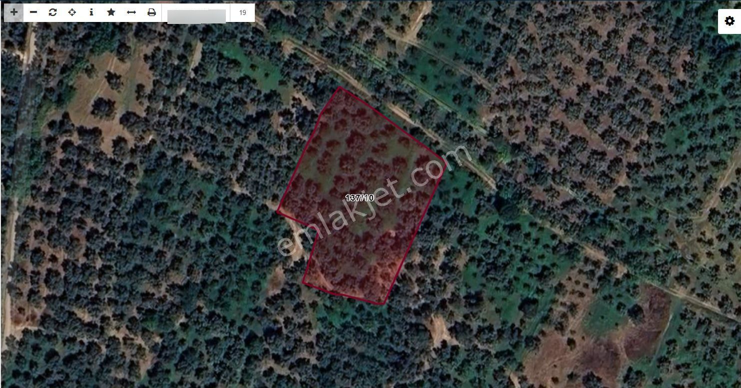 Orhangazi Satılık Yol Kenarı Yatırımlık Zeytinlik Müstakil Tapu - Görsel 10