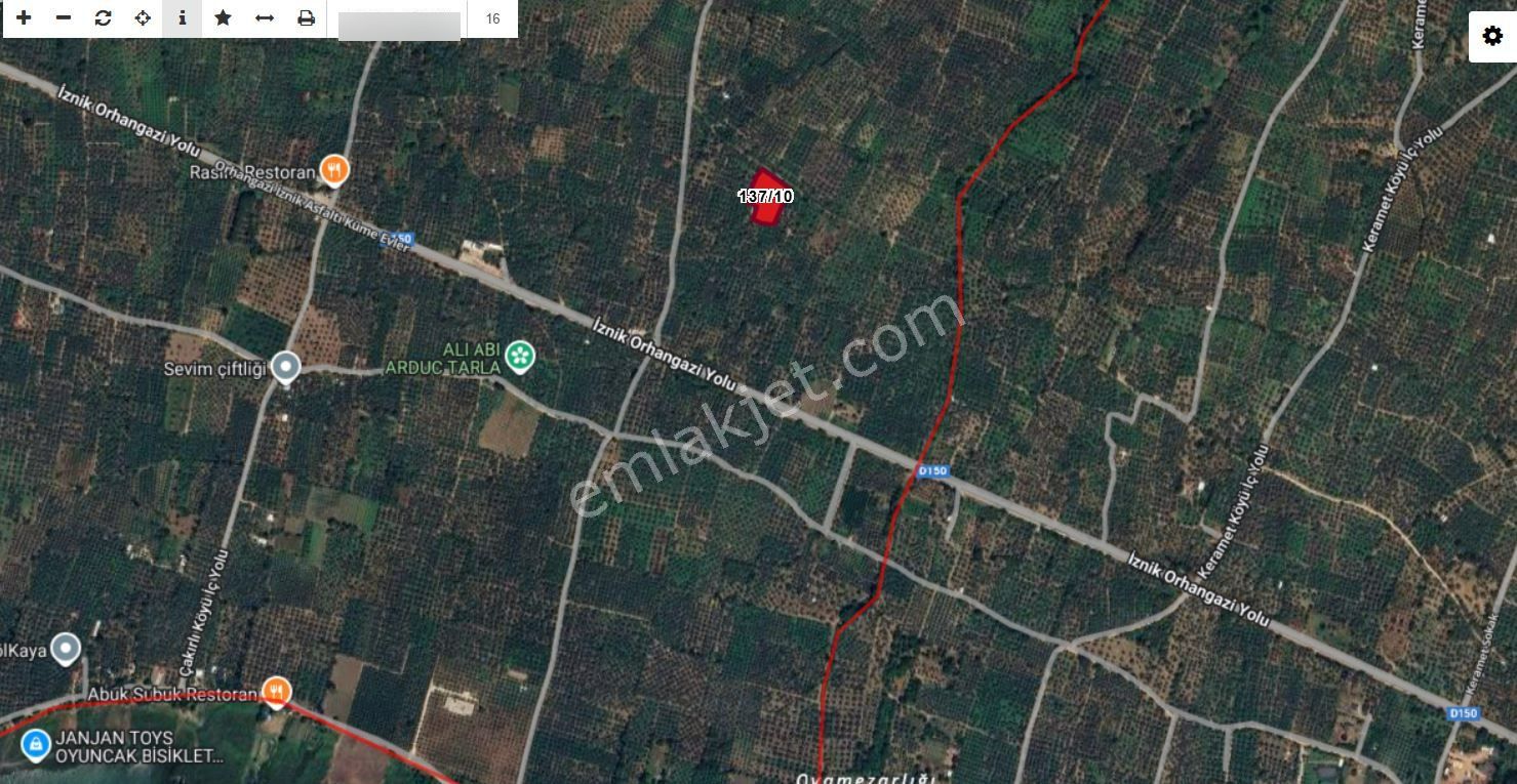 Orhangazi Satılık Yol Kenarı Yatırımlık Zeytinlik Müstakil Tapu - Görsel 3