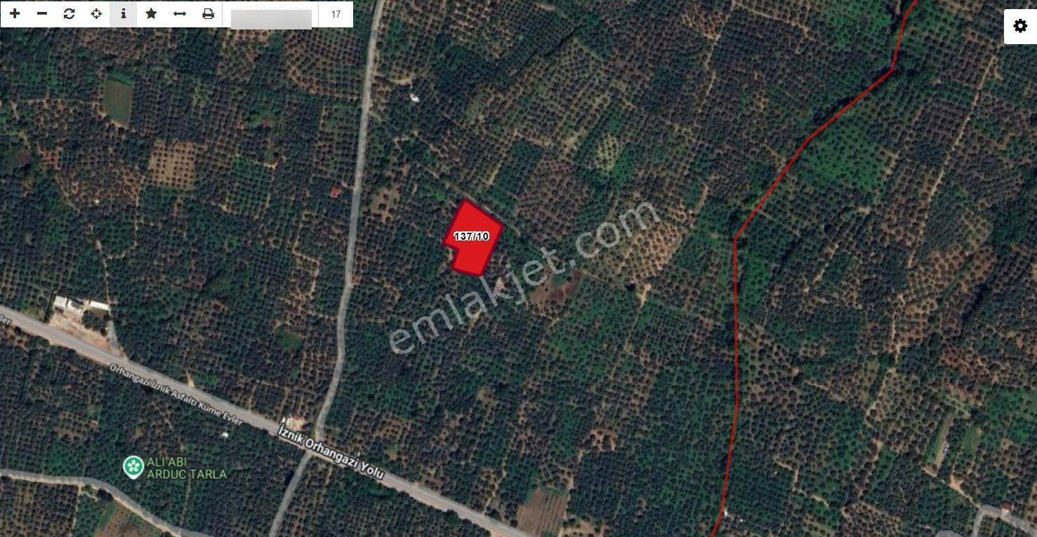 Orhangazi Satılık Yol Kenarı Yatırımlık Zeytinlik Müstakil Tapu - Görsel 2