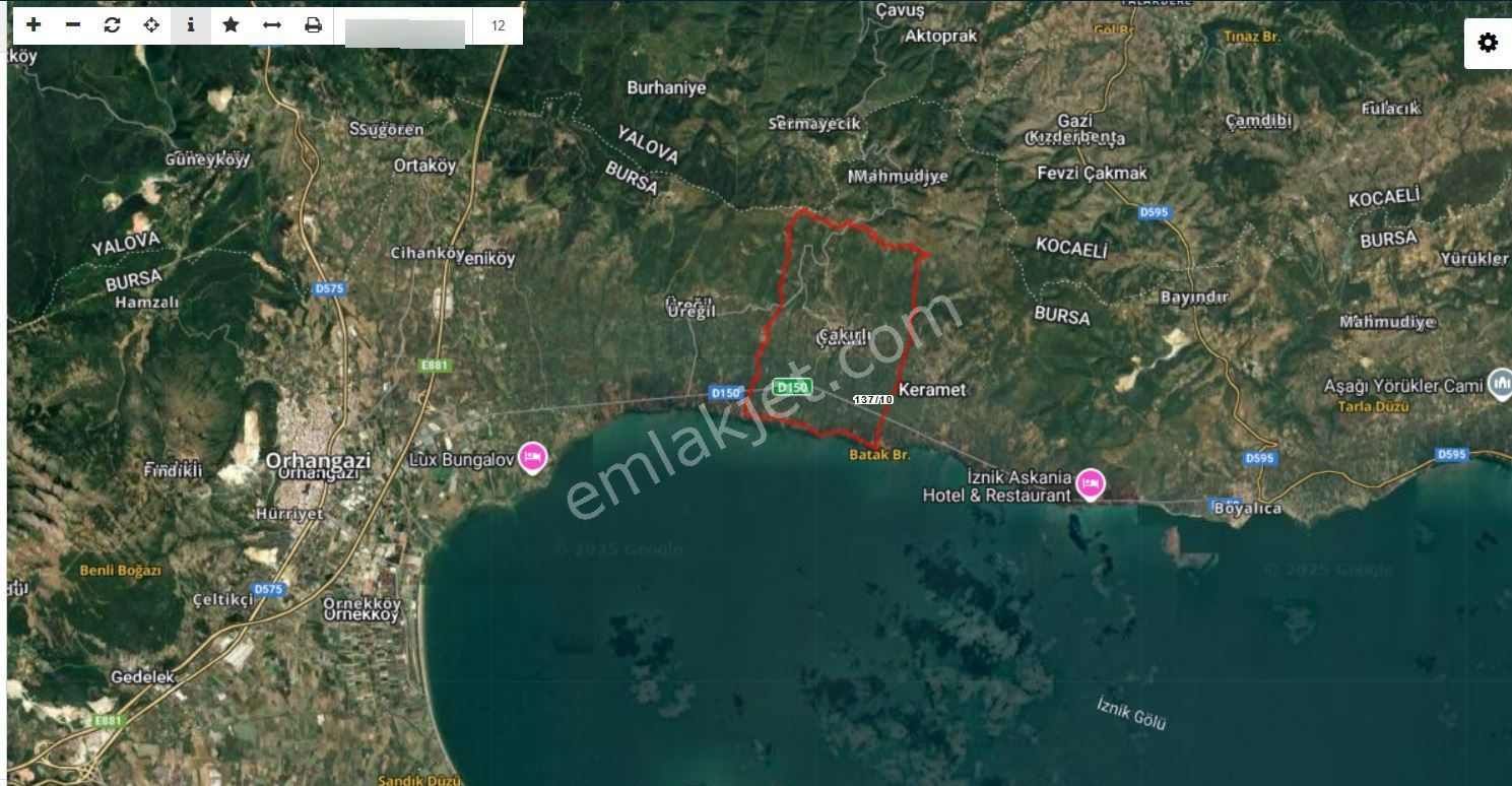 Orhangazi Satılık Yol Kenarı Yatırımlık Zeytinlik Müstakil Tapu - Görsel 7