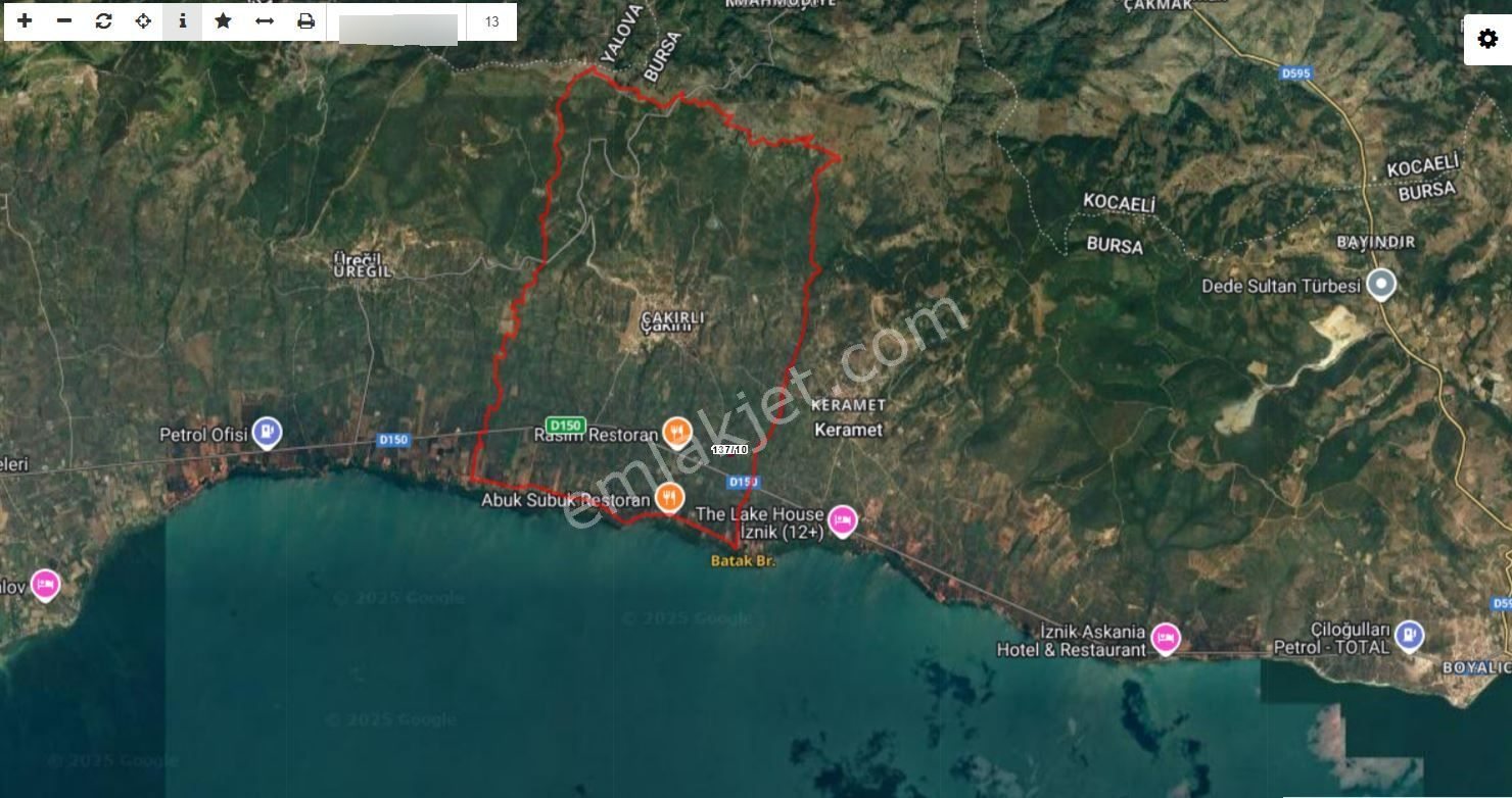 Orhangazi Satılık Yol Kenarı Yatırımlık Zeytinlik Müstakil Tapu - Görsel 6