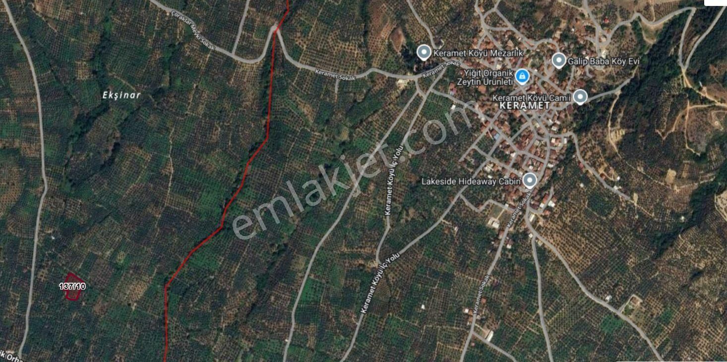 Orhangazi Satılık Yol Kenarı Yatırımlık Zeytinlik Müstakil Tapu - Görsel 8