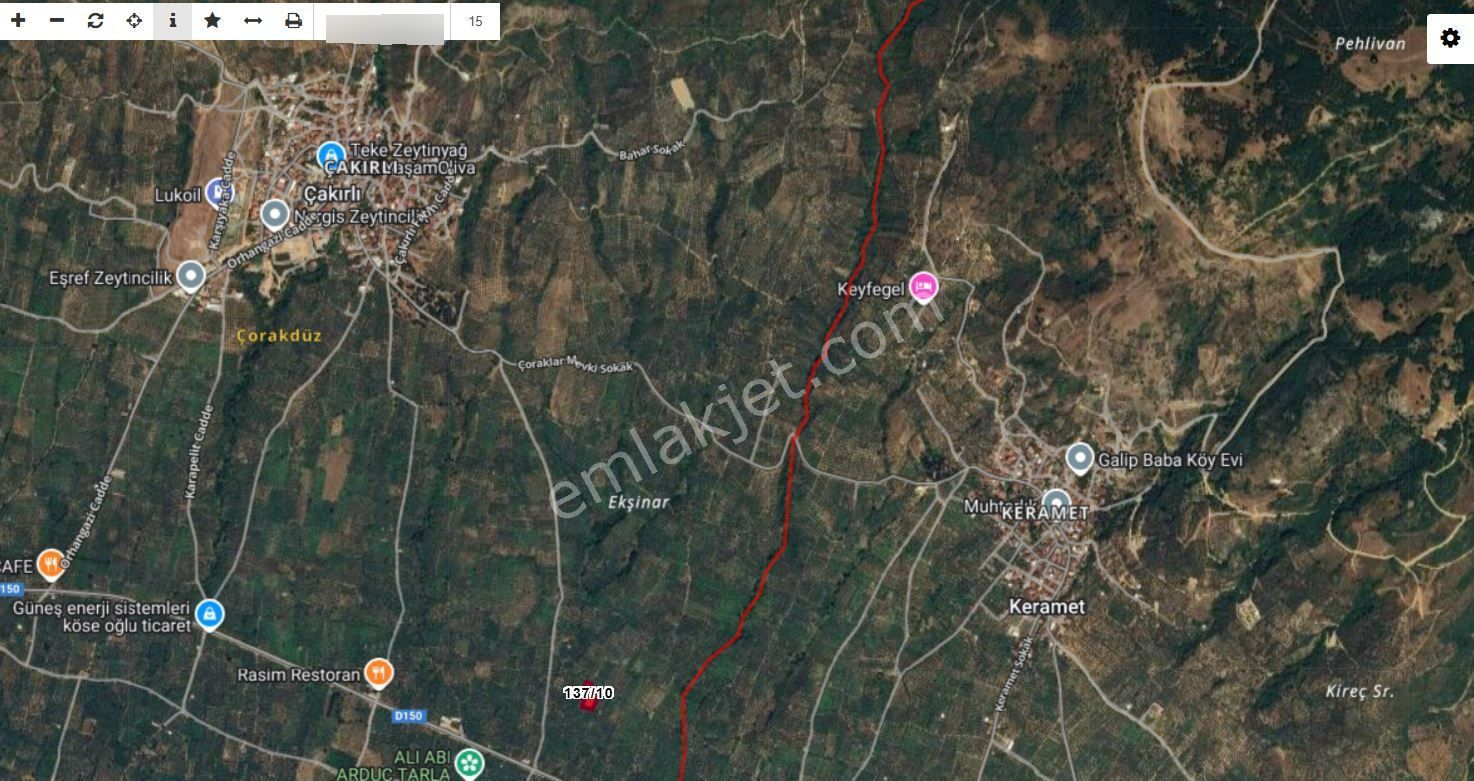 Orhangazi Satılık Yol Kenarı Yatırımlık Zeytinlik Müstakil Tapu - Görsel 4