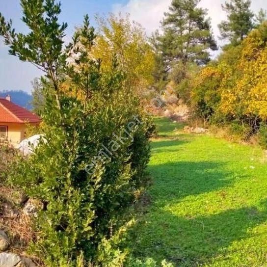 Marmaris Bayır Köyünde Satılık Fırsat Arazi - Görsel 3