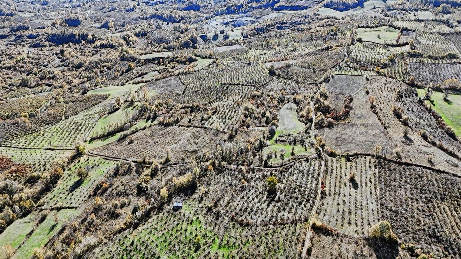 Ruşen Aydın Gayrimenkul'den Kaynaşlı Dipsizgöl'de Satılık Arazi - Görsel 5