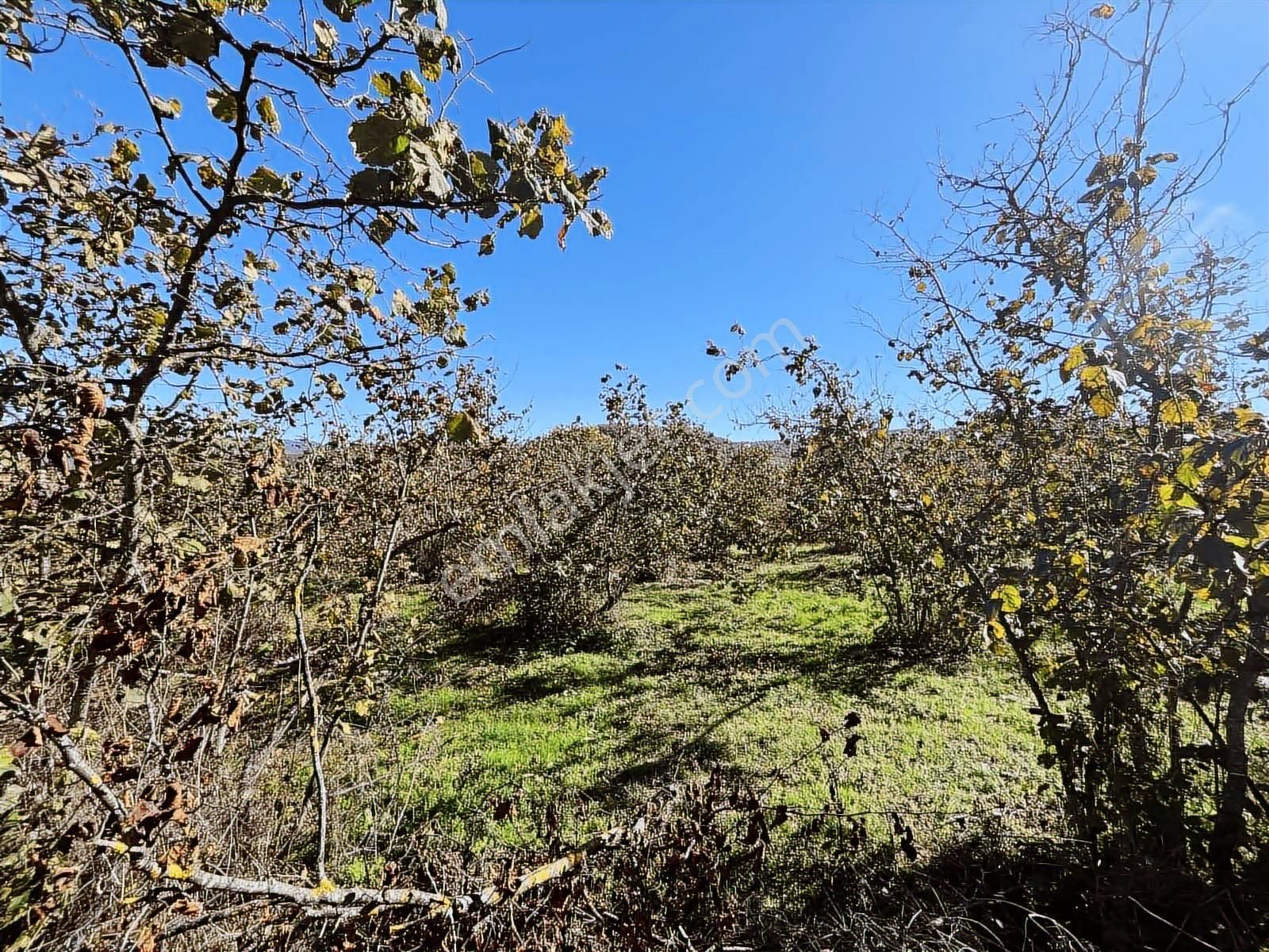 Ruşen Aydın Gayrimenkul'den Kaynaşlı Dipsizgöl'de Satılık Arazi - Görsel 34