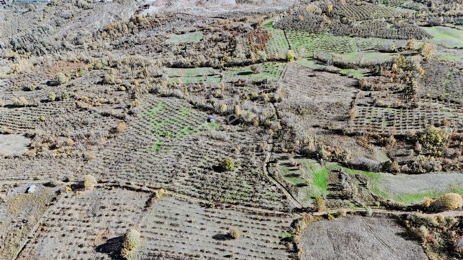 Ruşen Aydın Gayrimenkul'den Kaynaşlı Dipsizgöl'de Satılık Arazi - Görsel 9