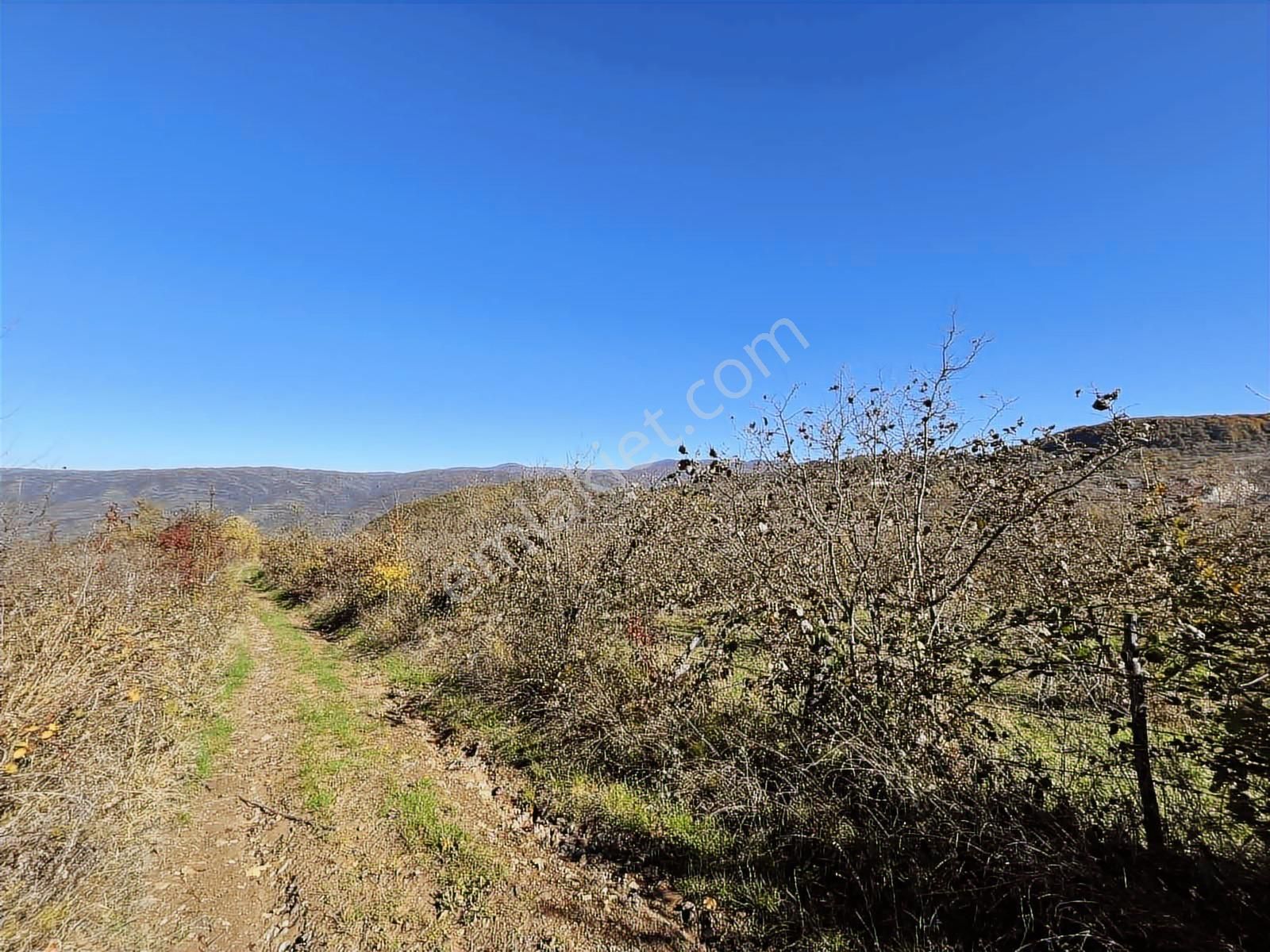 Ruşen Aydın Gayrimenkul'den Kaynaşlı Dipsizgöl'de Satılık Arazi - Görsel 19