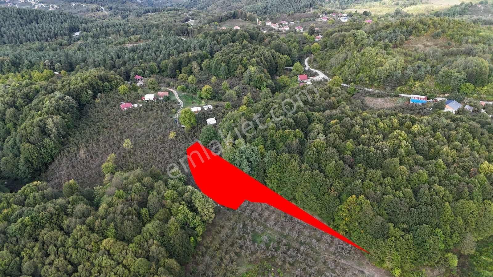 Ruşen Aydın Gyd'dan Kaynaşlı Muratbey Köyünde Satılık Arsa