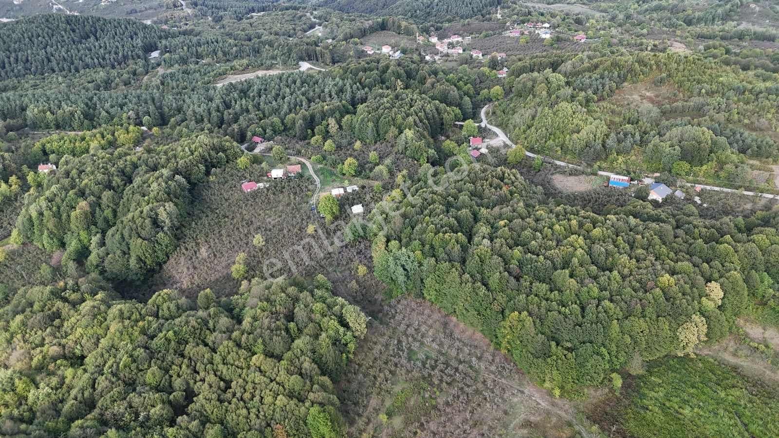 Ruşen Aydın Gyd'dan Kaynaşlı Muratbey Köyünde Satılık Arsa - Görsel 12