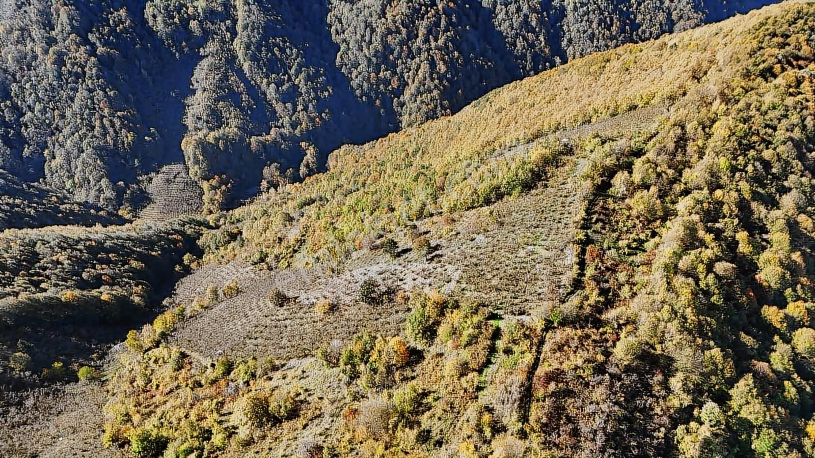 Ruşen Aydın Gayrimenkul'den Kaynaşlı Tavak Köyünde Satılık Arazi - Görsel 21