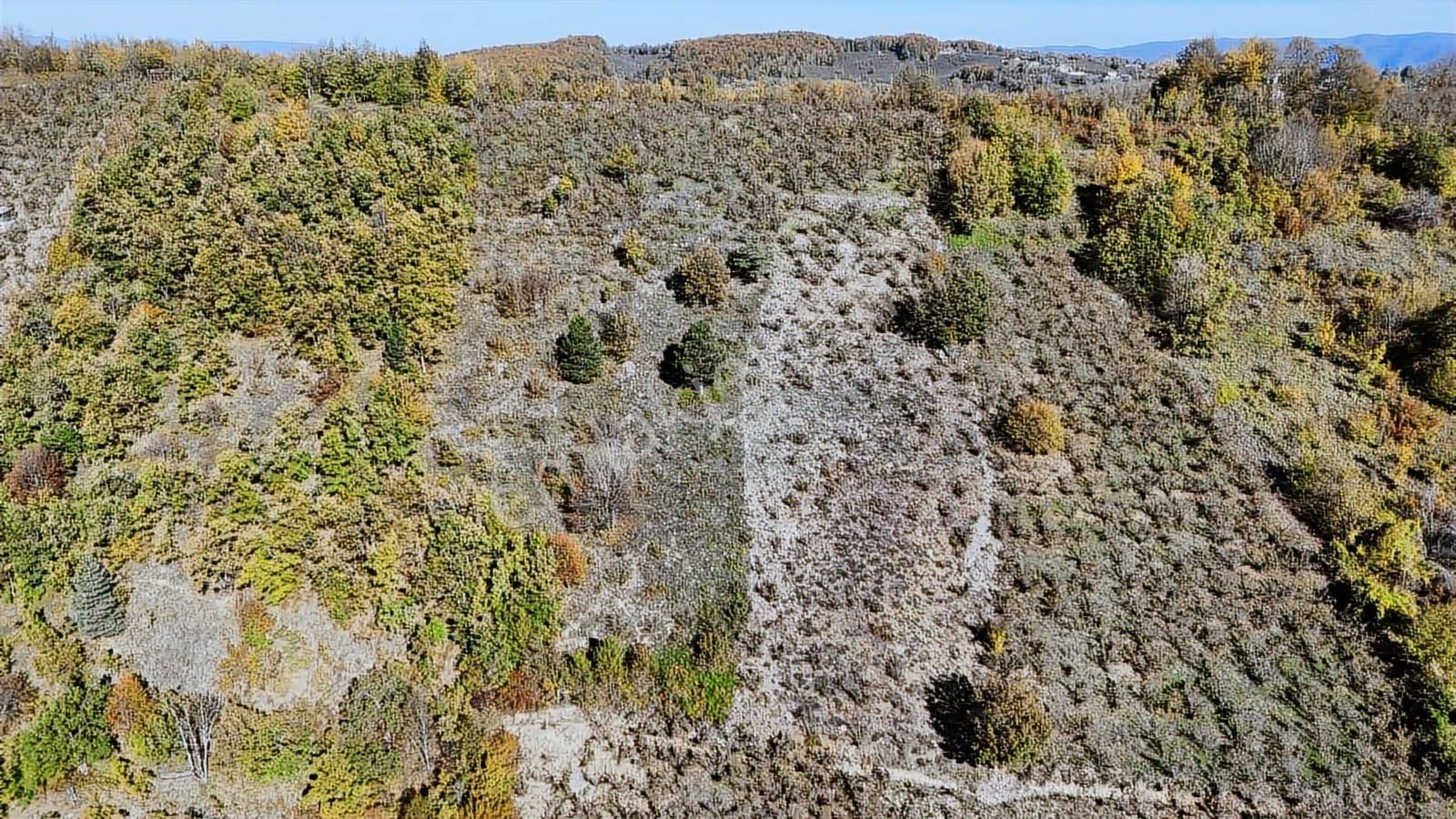 Ruşen Aydın Gayrimenkul'den Kaynaşlı Tavak Köyünde Satılık Arazi - Görsel 3