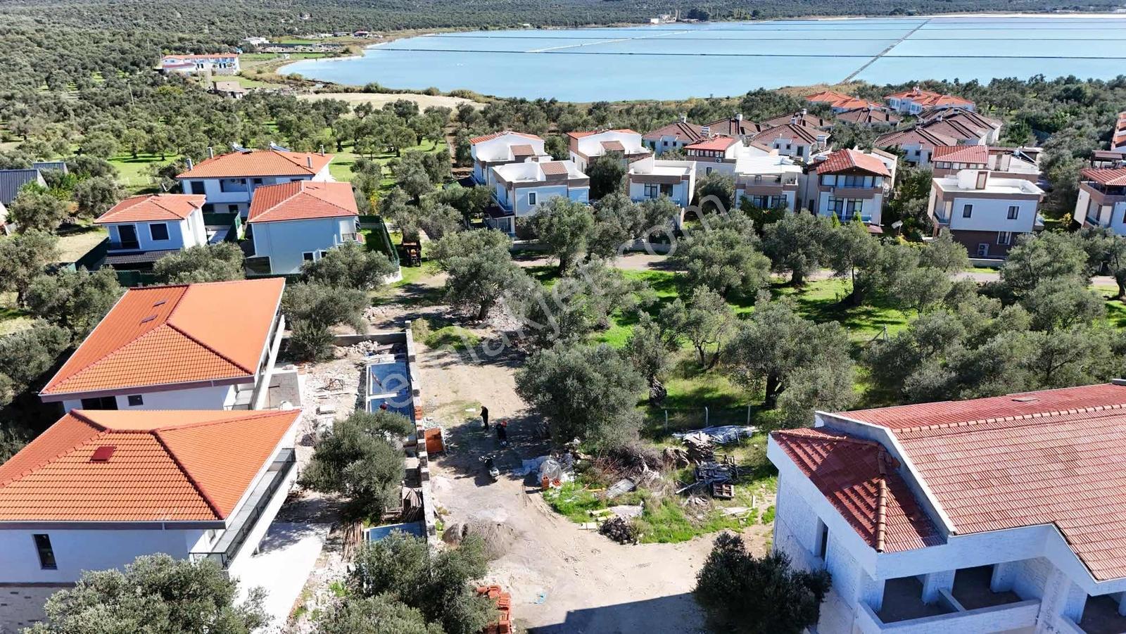 Ayvalık Sarımsaklıda Zeytin Ağaçları Arasında Havuzlu, Villa - Görsel 12