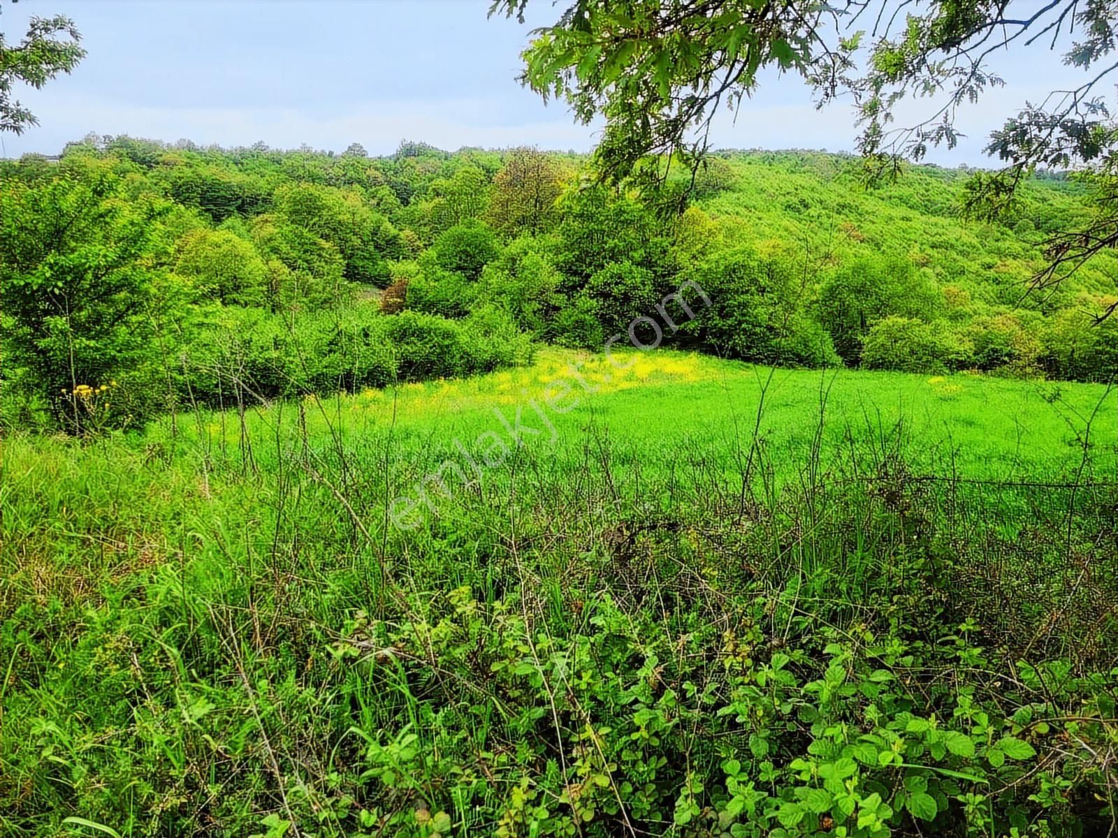 Acilllllll Asfalta Cephe Harika Lokasyon Da Fırsat - Görsel 15