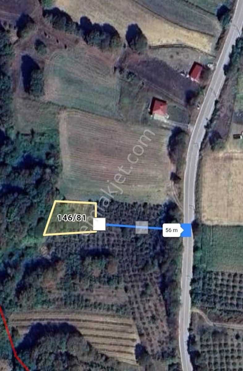 Acilllllll Asfalta Cephe Harika Lokasyon Da Fırsat - Görsel 7