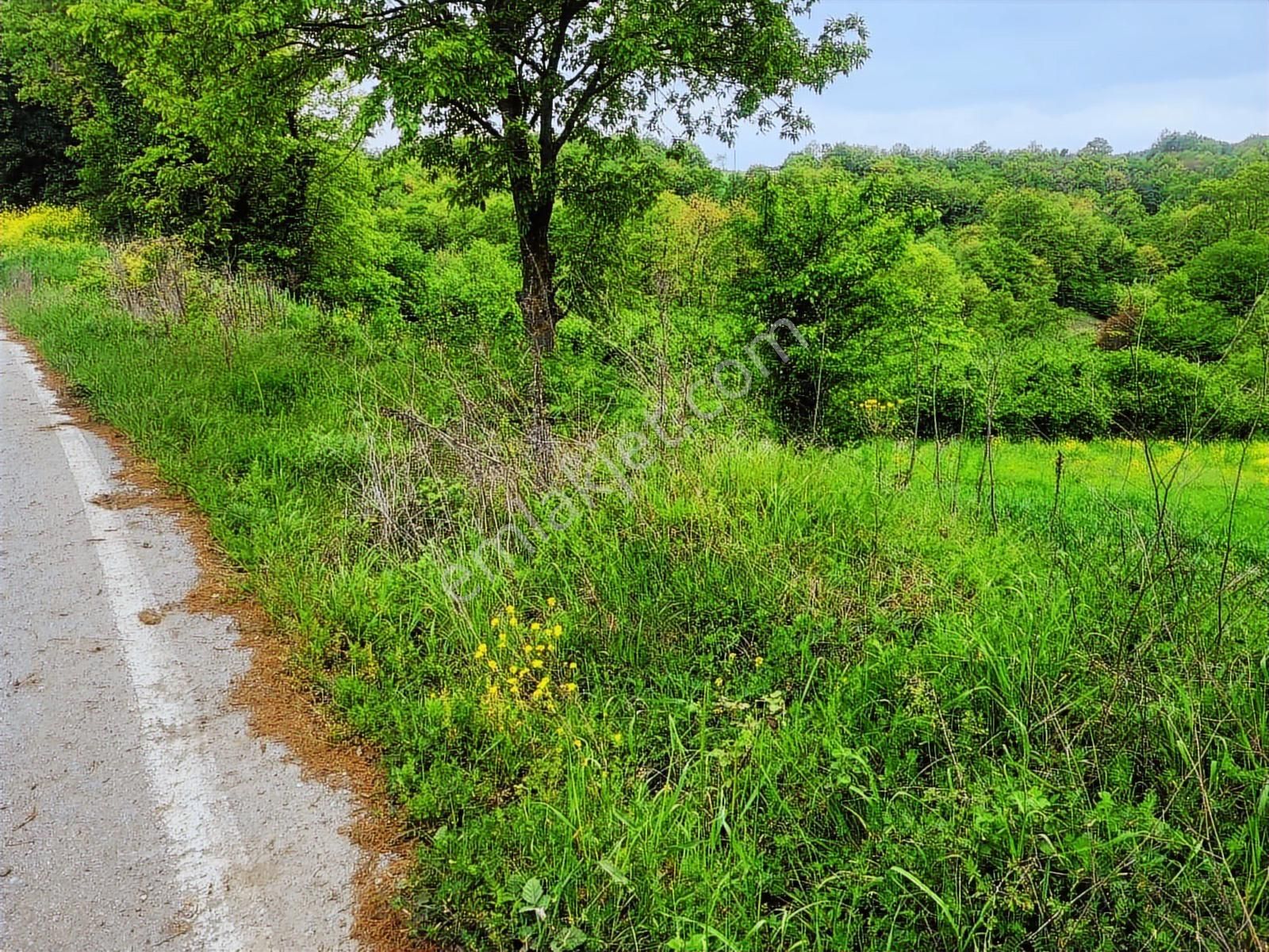 Acilllllll Asfalta Cephe Harika Lokasyon Da Fırsat - Görsel 16