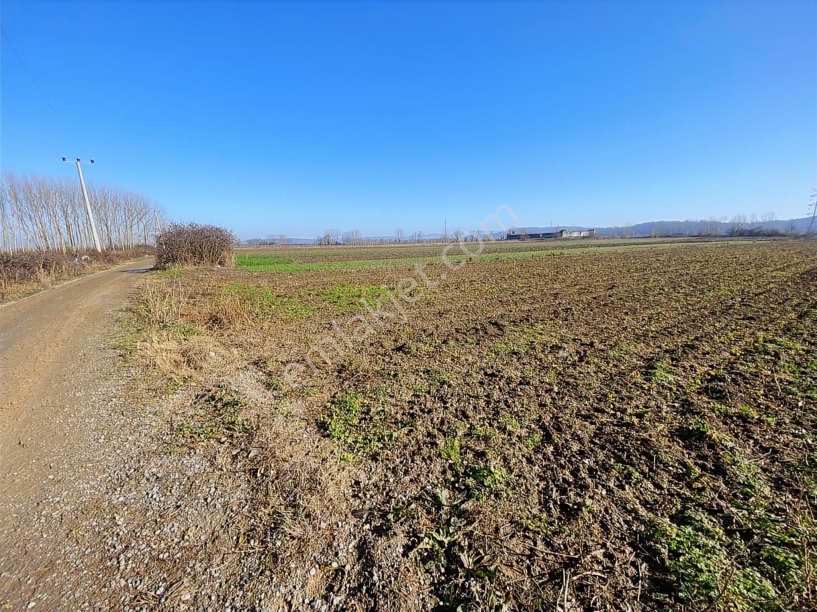 Harmantepede Yol Kenarı 2 Parça Satılık 6 Dönüm Arazi - Görsel 6