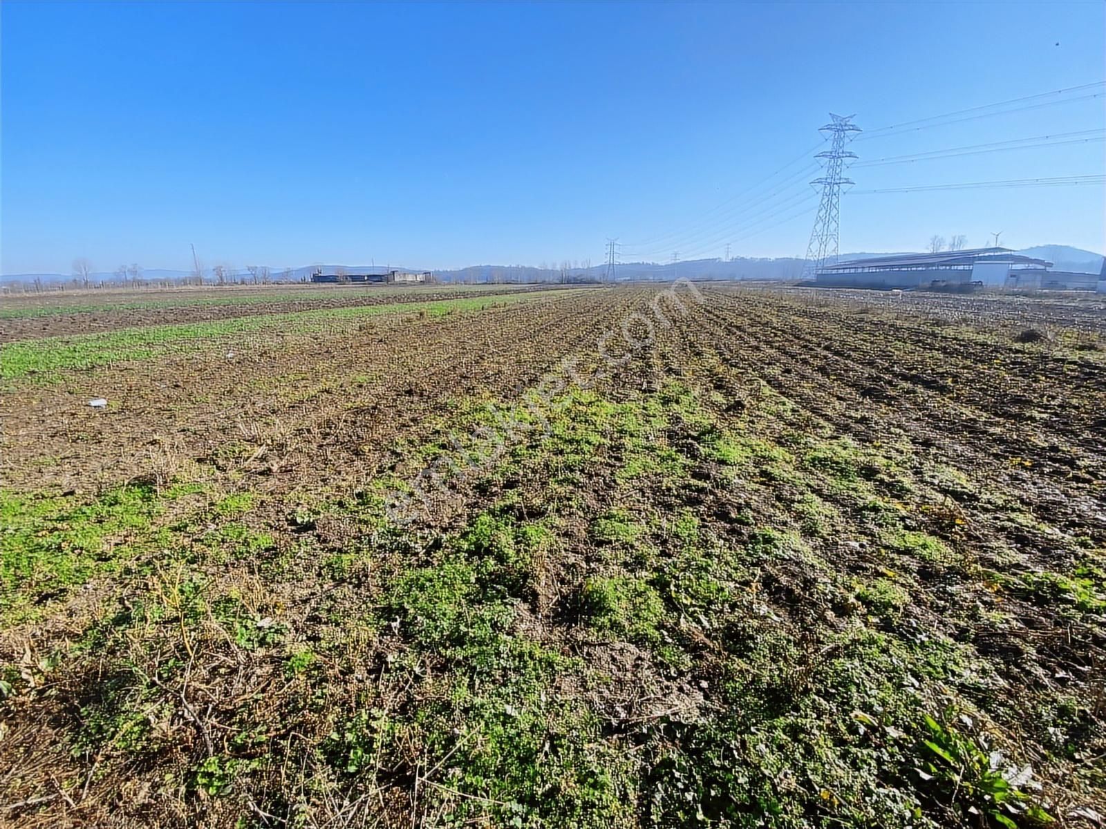 Harmantepede Yol Kenarı 2 Parça Satılık 6 Dönüm Arazi - Görsel 3