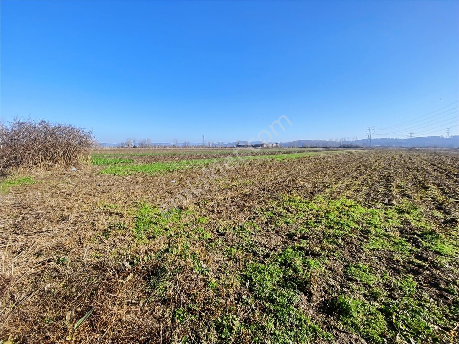 Harmantepede Yol Kenarı 2 Parça Satılık 6 Dönüm Arazi - Görsel 11