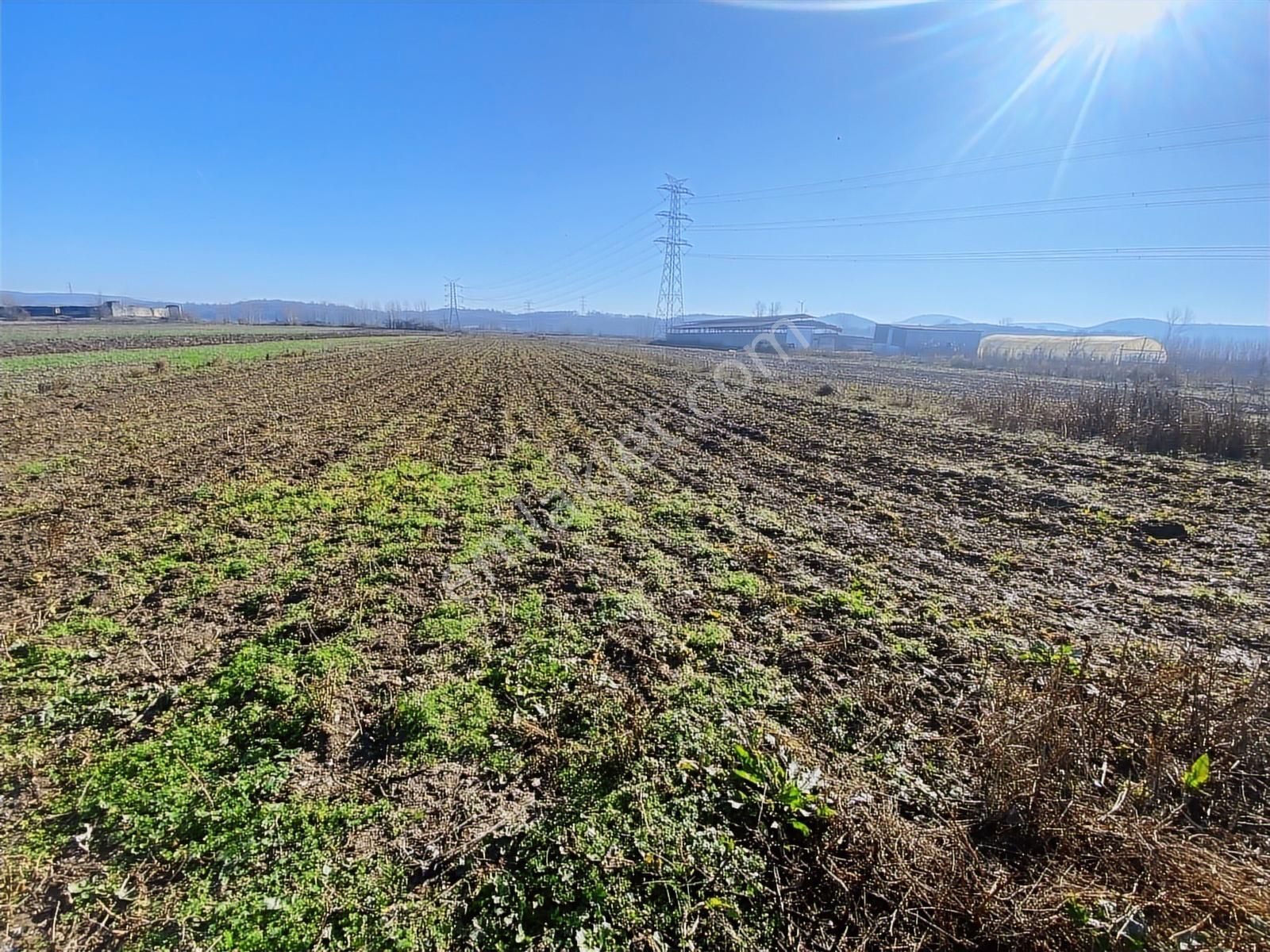 Harmantepede Yol Kenarı 2 Parça Satılık 6 Dönüm Arazi - Görsel 5