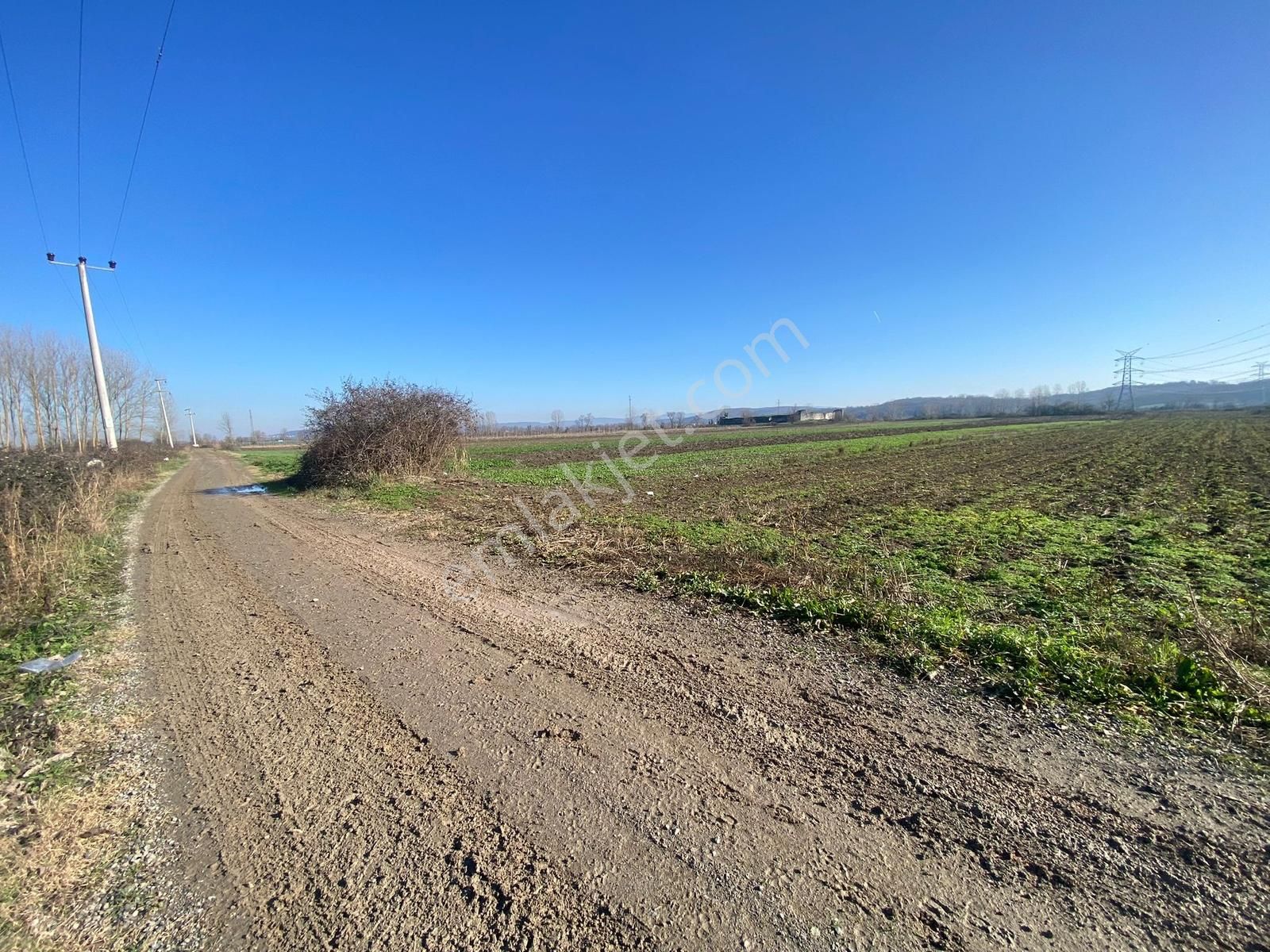 Harmantepede Yol Kenarı 2 Parça Satılık 6 Dönüm Arazi - Görsel 8