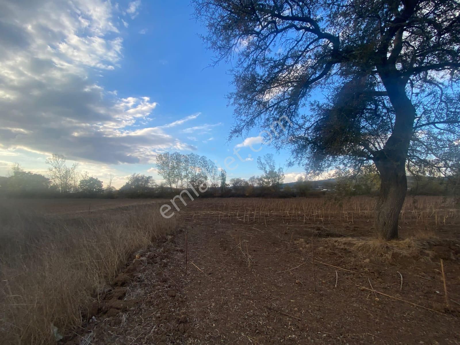 Kardeşten Çan Derenti'de Yenice Yoluna Yakın 27.566 M² Tarla - Görsel 7