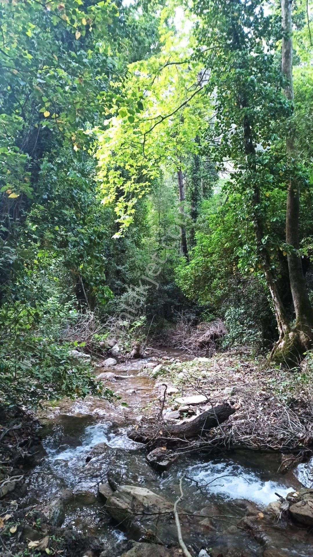 Kuşadası Güzelçamlıda Yeni Yapım Satılık 2+1 Daire - Görsel 43