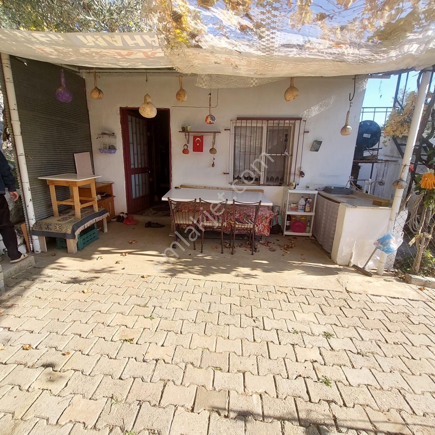 Çine-doğrumlar Köyünde Satılık Zeytin Bahçesi - Görsel 15