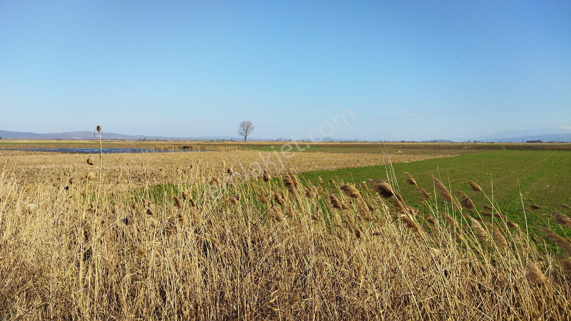 Bursa Mk.paşa Yeşılova Da Satılık Arazi - Görsel 2