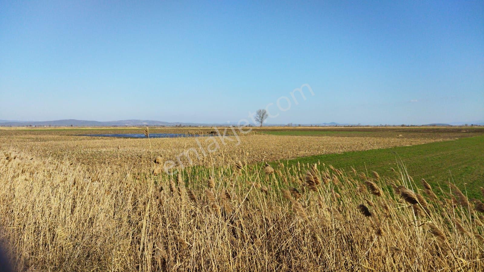 Bursa Mk.paşa Yeşılova Da Satılık Arazi - Görsel 6