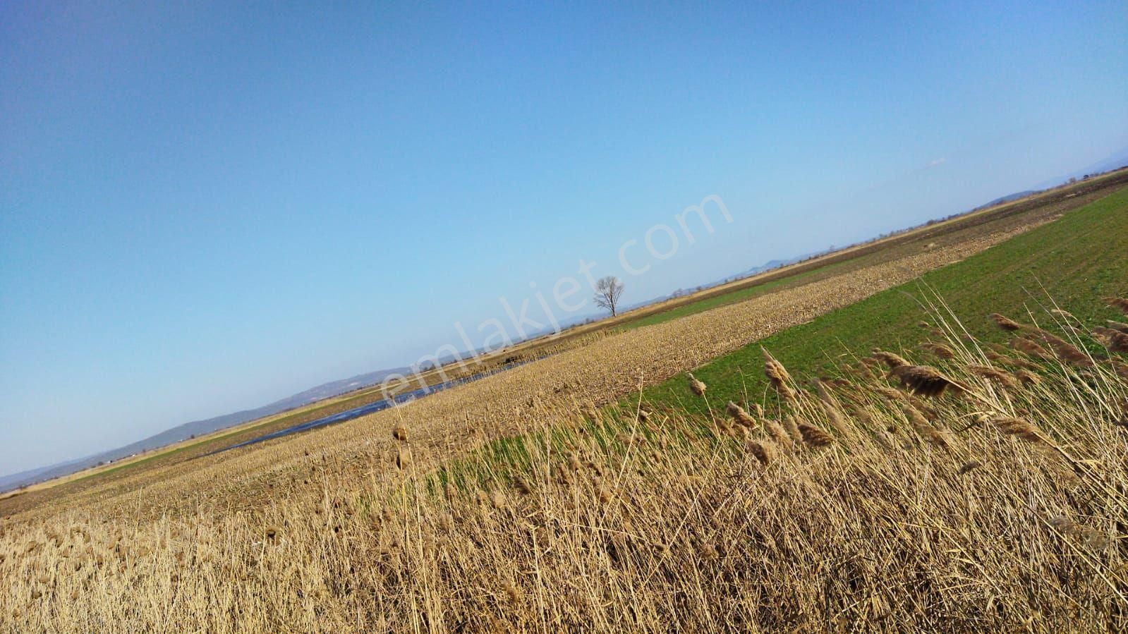 Bursa Mk.paşa Yeşılova Da Satılık Arazi - Görsel 8