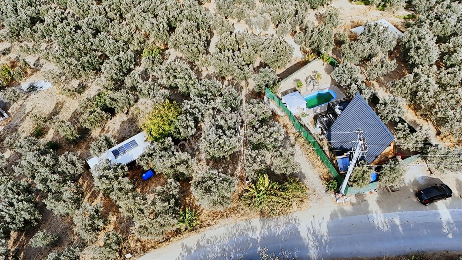 Realty Nexus'dan İznik Göllüce'de Fırsat Göl Manzaralı Zeytinlik - Görsel 6