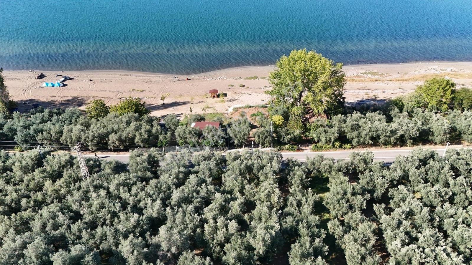 İznik Müşküle Göl Manzaralı 321 M² Asfalta Cephe - Görsel 2