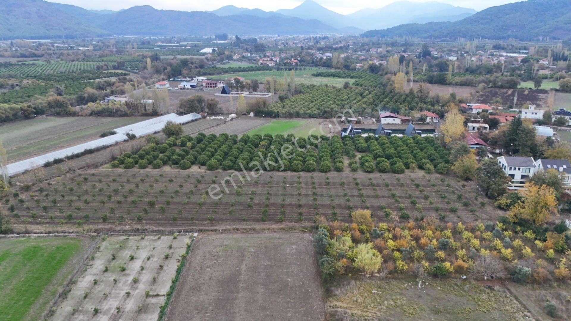 Muğla Ortaca Okçular Da 533 M2 Arsa 250 M2 İnşaat Kat Karşılığı Verilecek