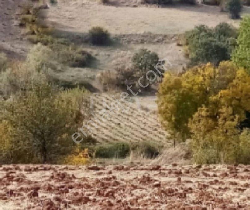 Tokat Turhal 908 M2 Arazi