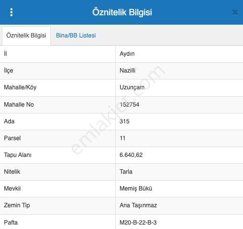 Aydın Nazilli Satılık 6.640 M2 Tarla - Görsel 15