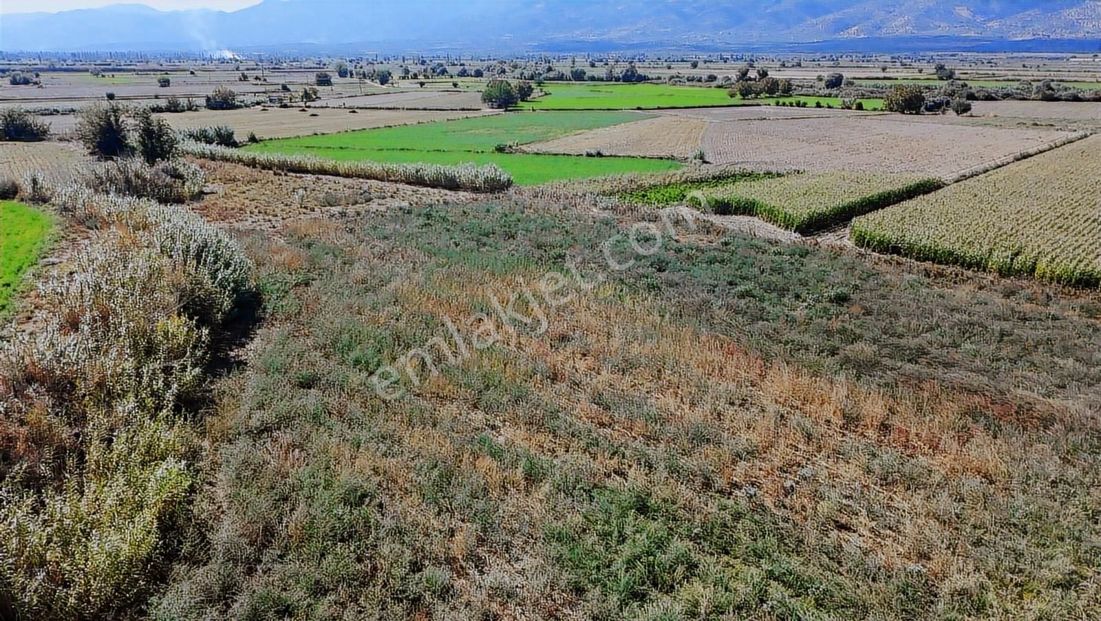 Aydın Nazilli Satılık 6.640 M2 Tarla - Görsel 9