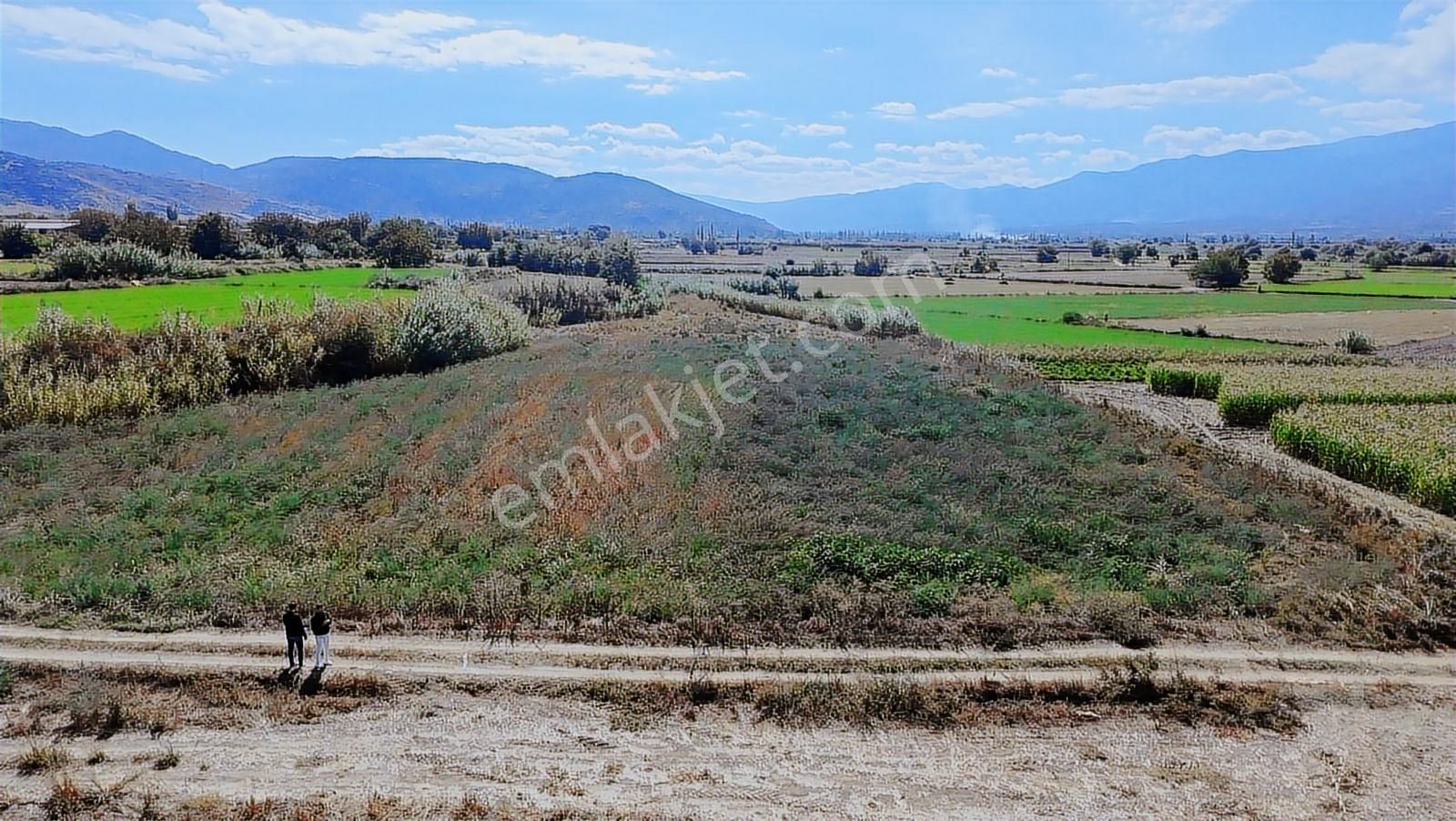 Aydın Nazilli Satılık 6.640 M2 Tarla - Görsel 11