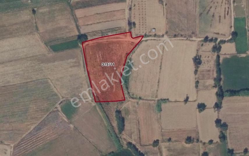 Aydın Nazilli Satılık 6.640 M2 Tarla - Görsel 14