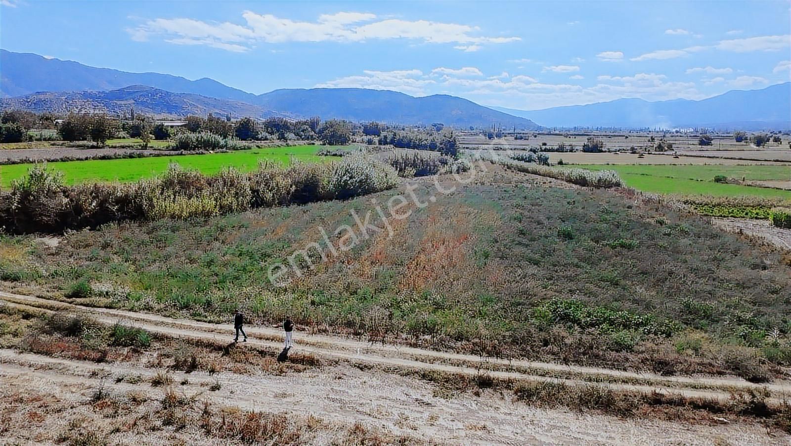 Aydın Nazilli Satılık 6.640 M2 Tarla